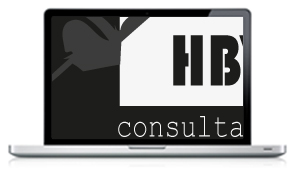 HBV Consultant