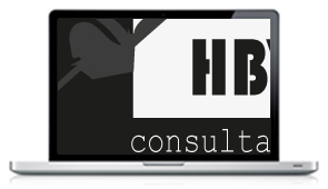 HBV Consultant